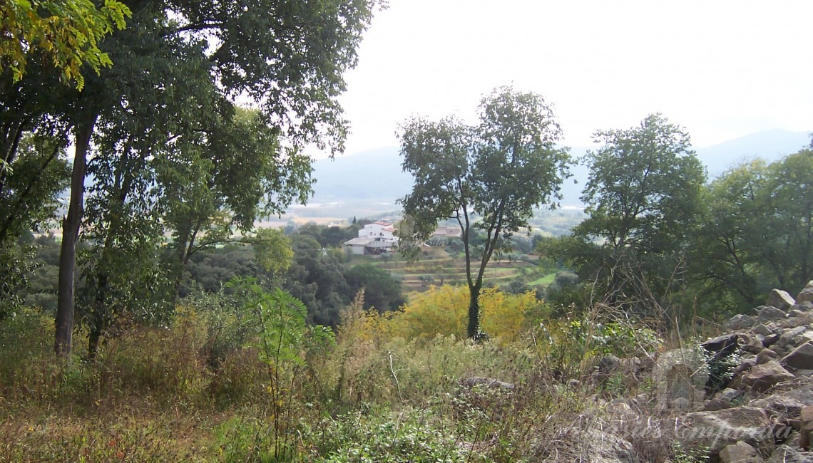 Vistas desde la masia a los campos