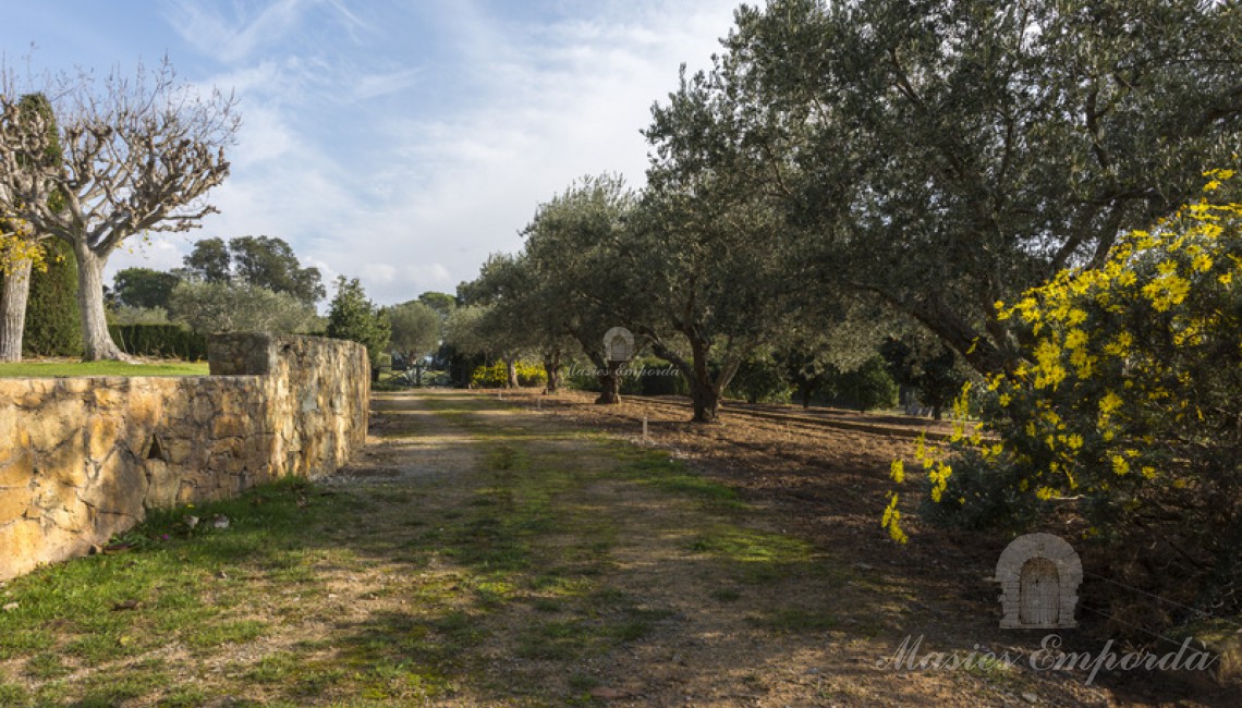 Vistas de parte del jardín y huertas de la propiedad  