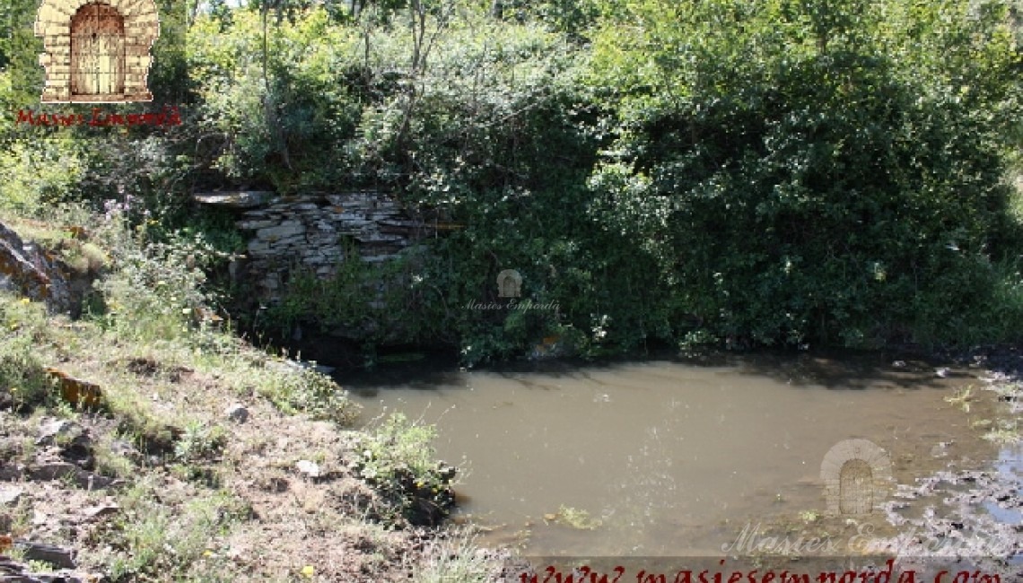 Fuente natural de la propiedad junto a la casa 