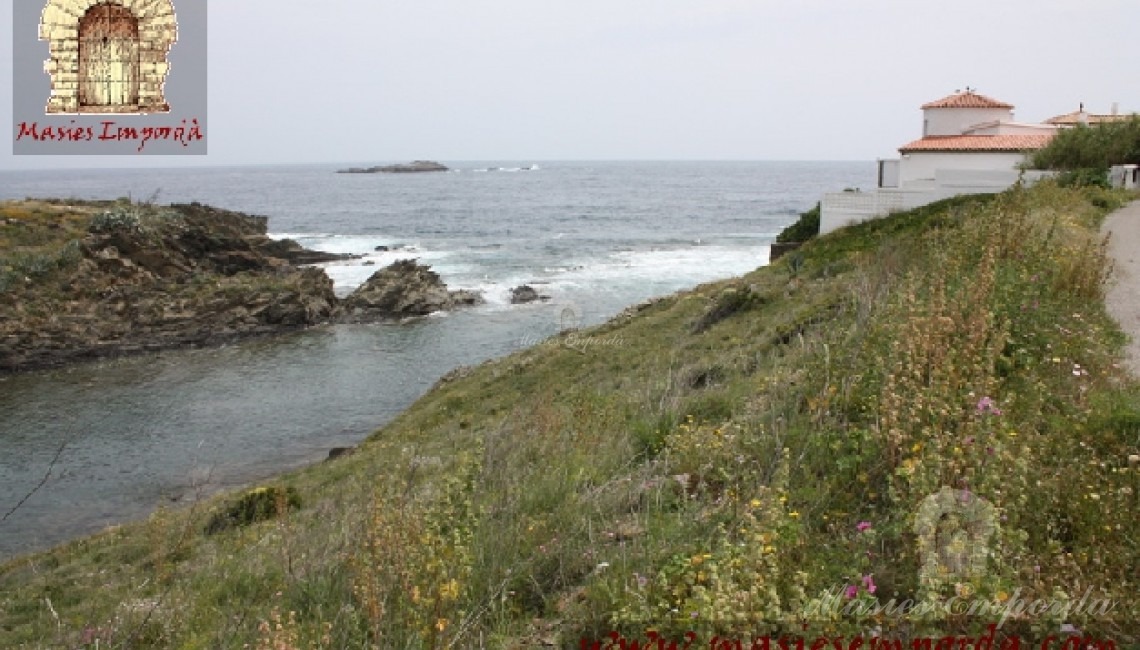 Vista desde la parcela 