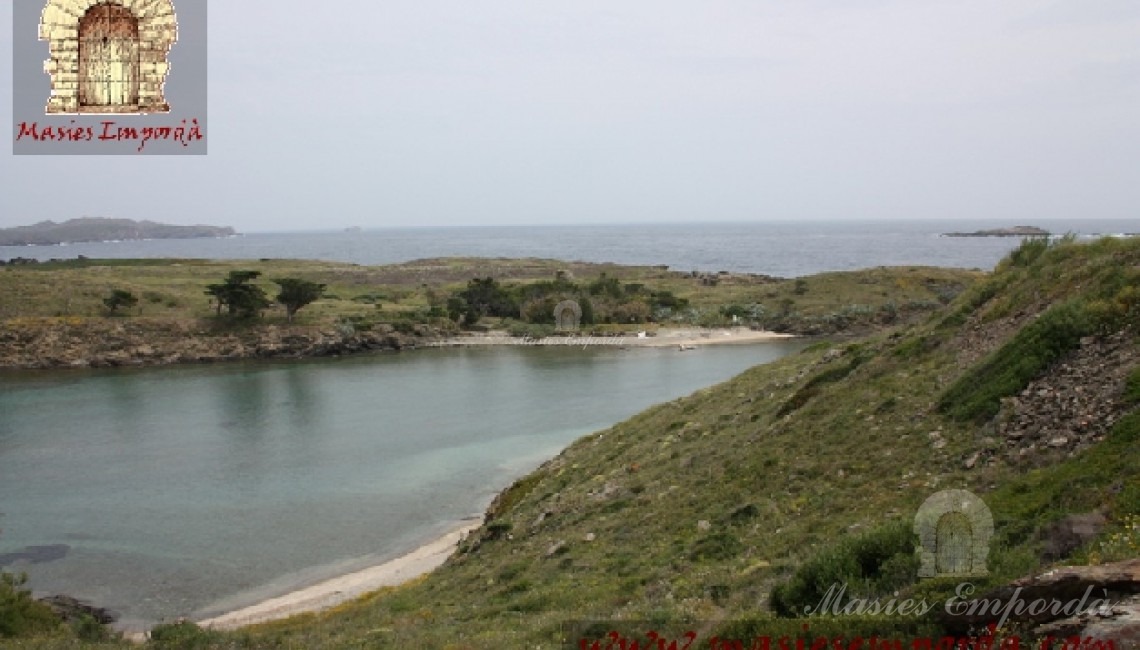 Vista desde la parcela 