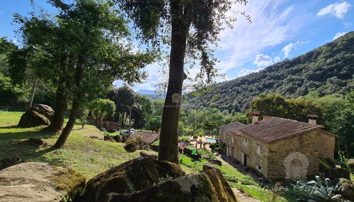 Views of the farmhouse 