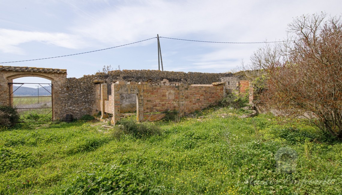 Views of the interior garden of the house