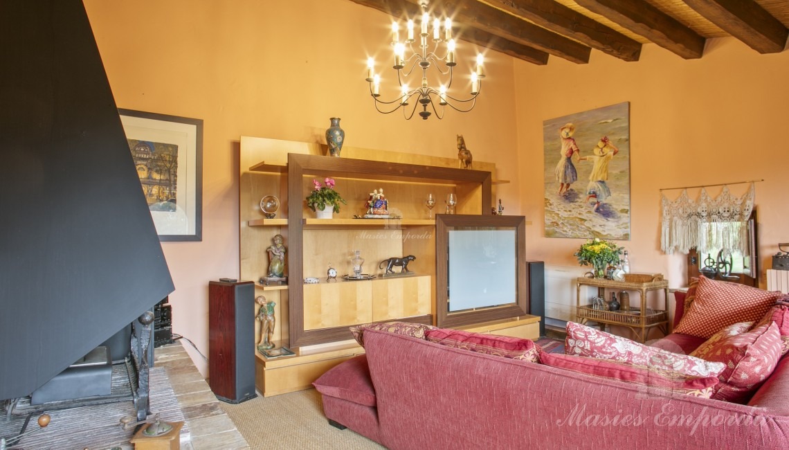 Living room with fireplace