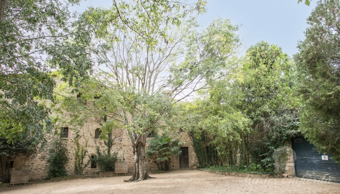 Back of the house and garden 