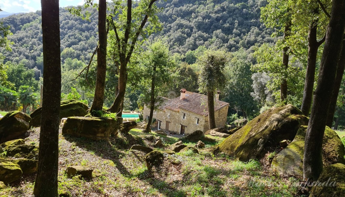 Views of the farmhouse 