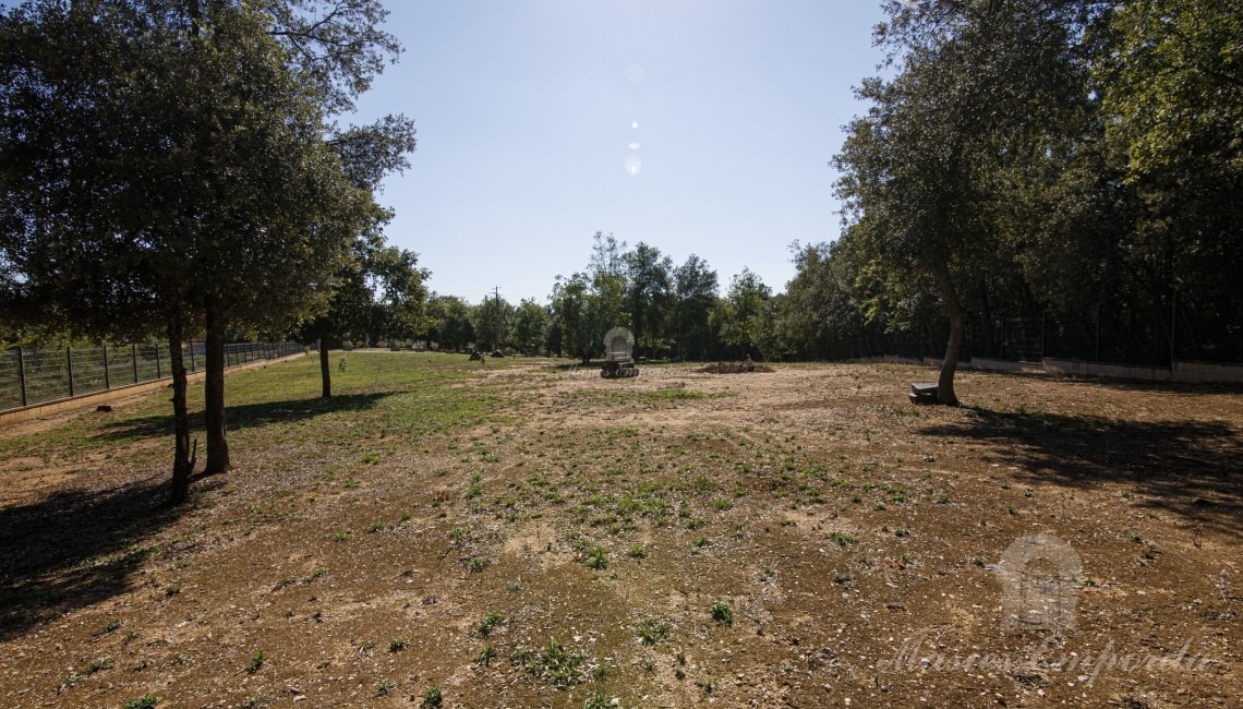 Parte de la parcela de la propiedad 