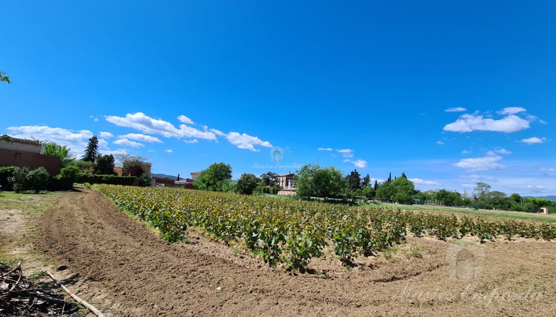 Views of the property plot