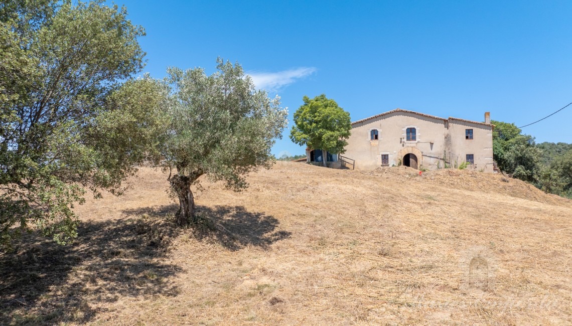 Views of the farmhouse