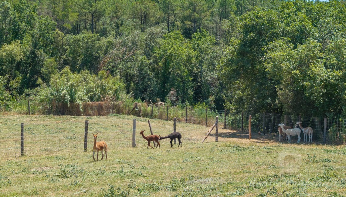 Views of the fields around the farmhouse