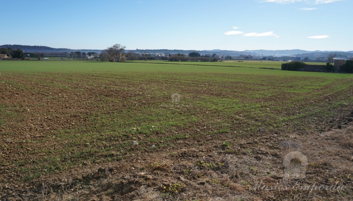 Views of the farmhouse fields