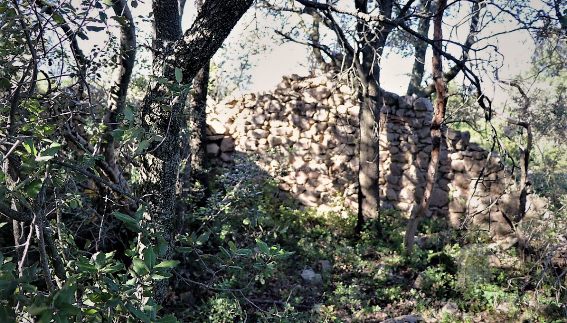 Details of the walls of one of the annexes to the farmhouse