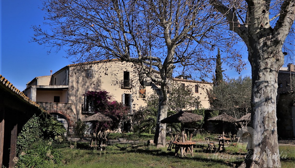 Vista de la fachada principal desde el jardín 