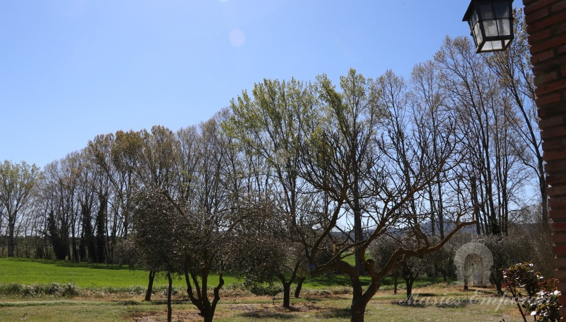 Views from the house of the fields of the property