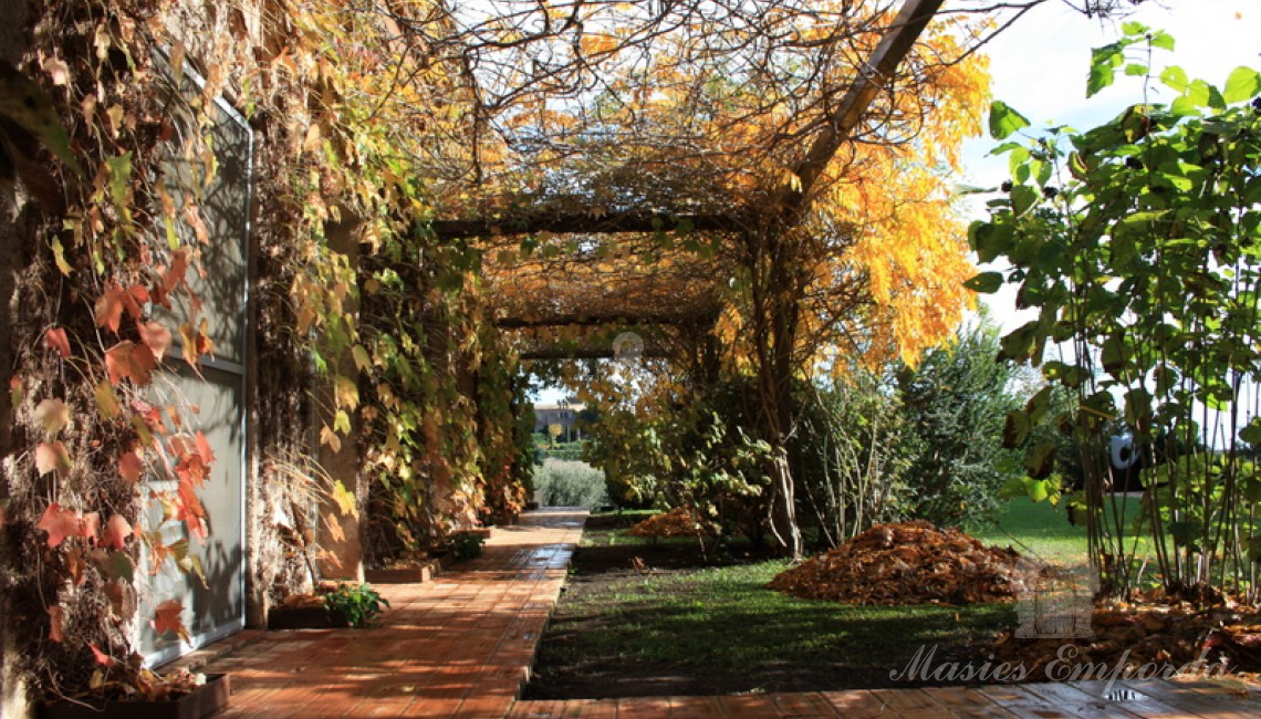 Pérgola de entrada a la casa desde la casa hacia el jardín 