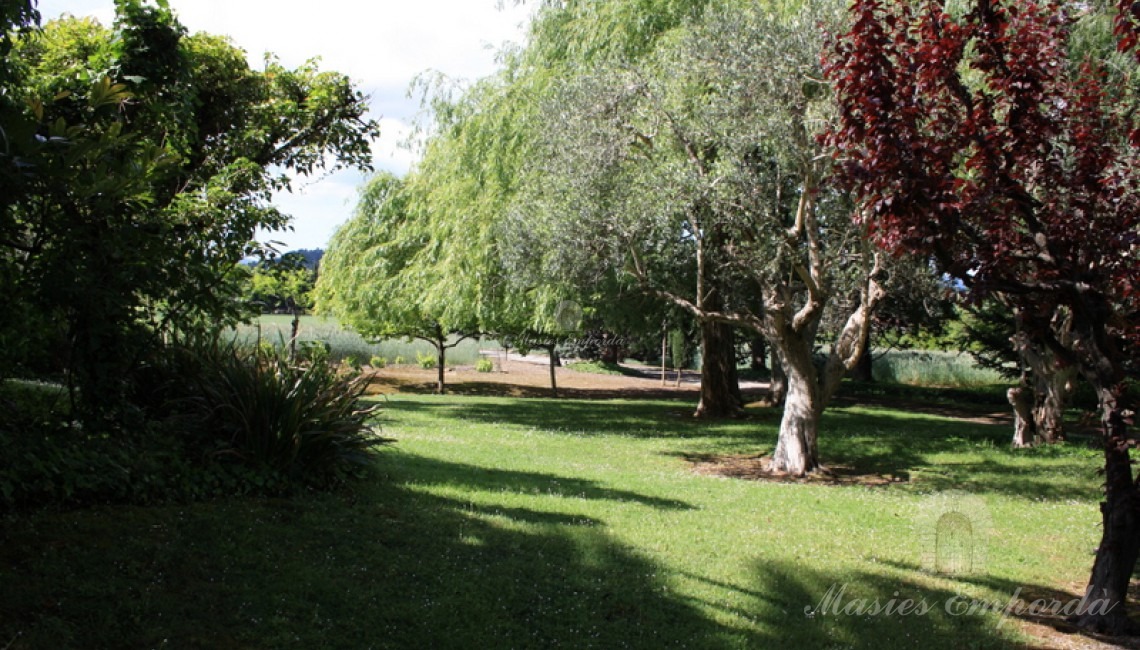 Jardín maduro de la propiedad que rodea la casa 