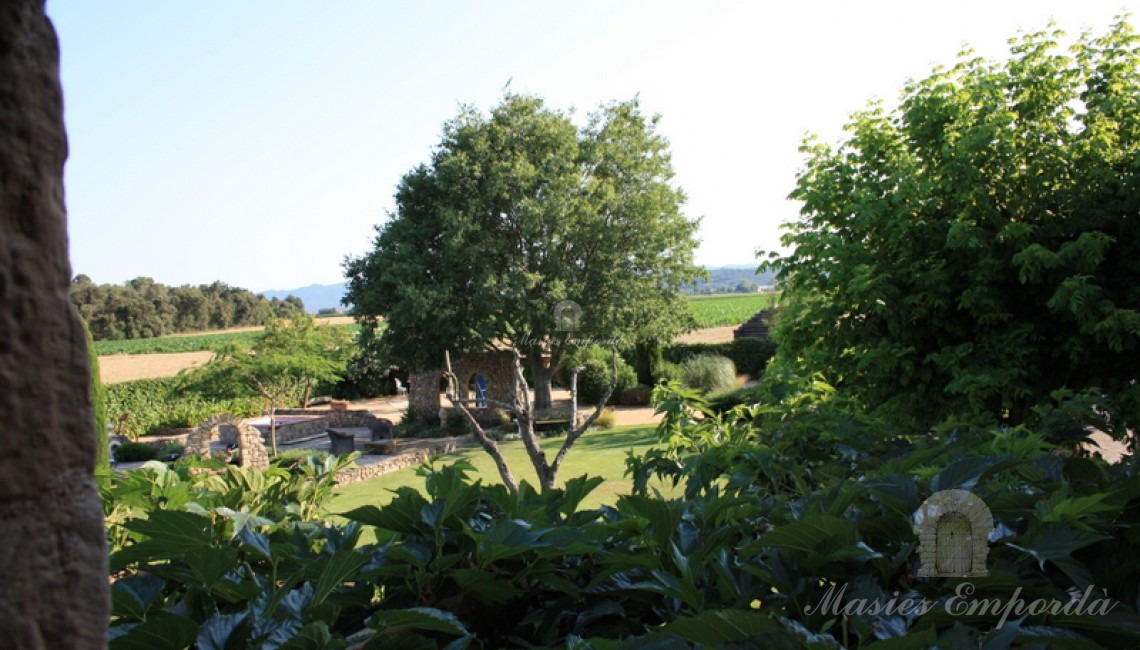 Vista desde la suite principal del jardín 