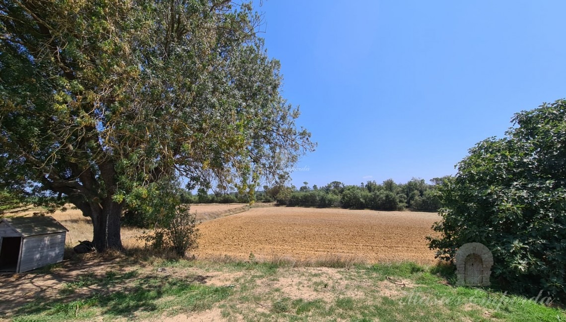 Vistas de los campos de la propiedad