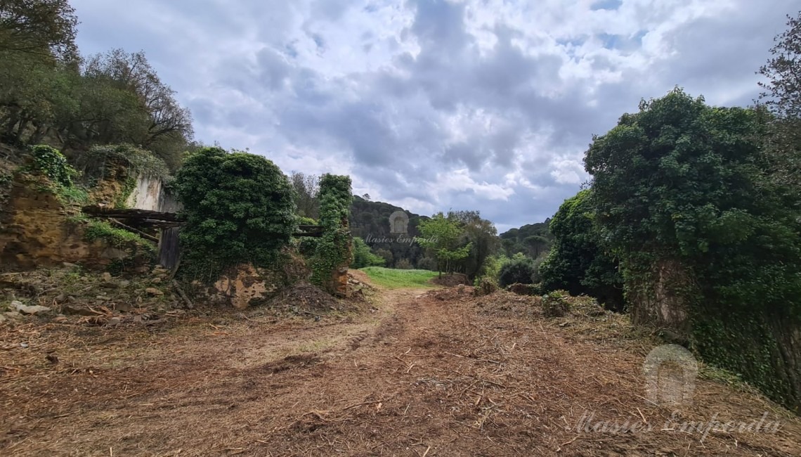 Views of the farmhouse and barn