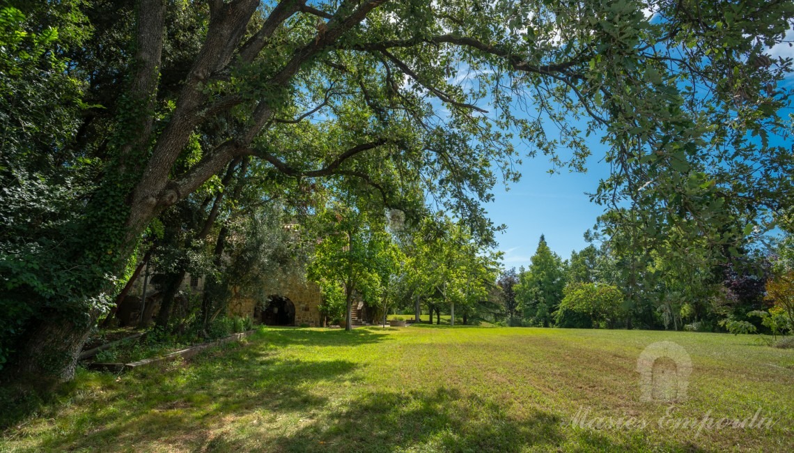 View of the garden 