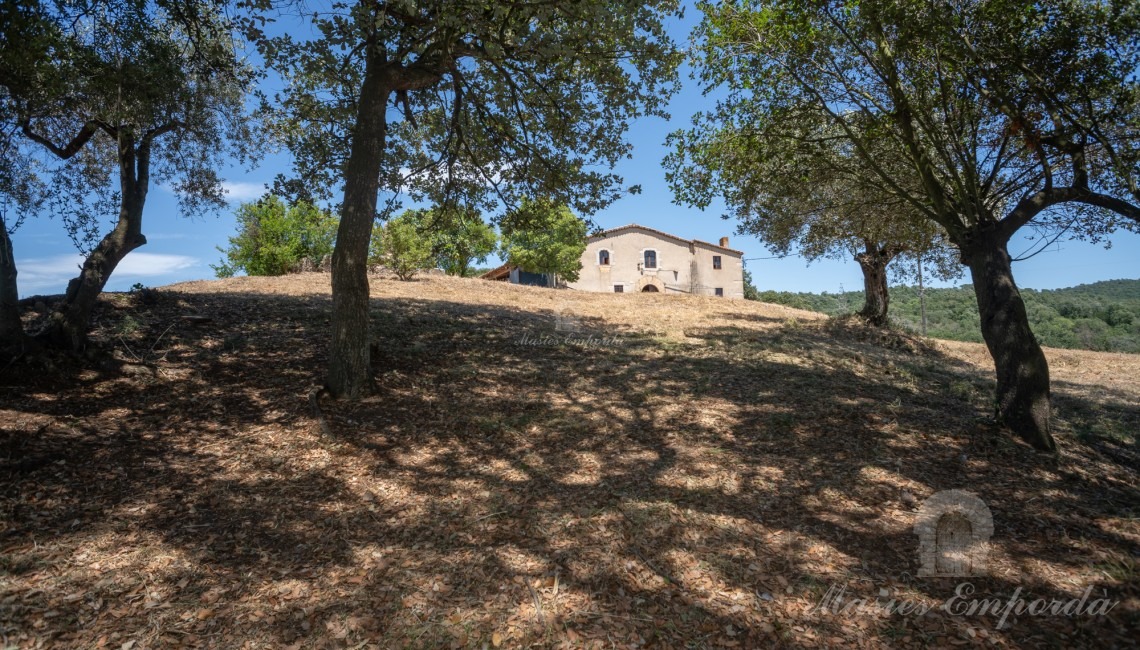 Views of the farmhouse