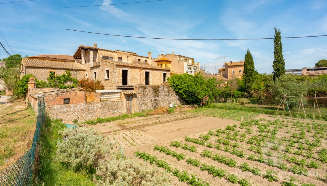 Views of the plot and the house