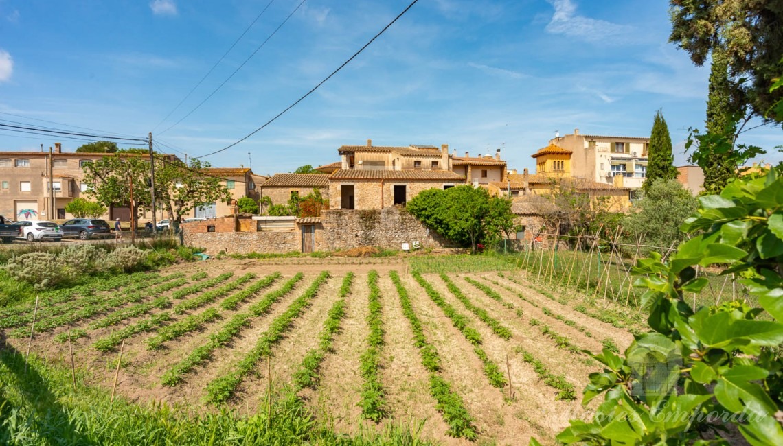 Views of the plot and the house