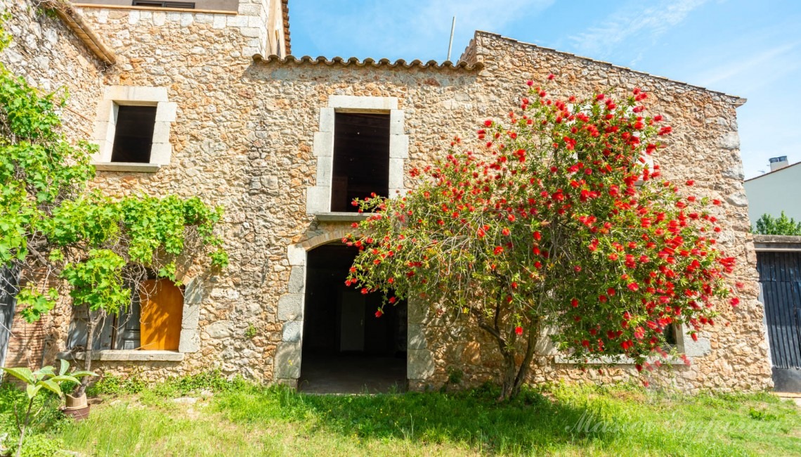 Facade of the house 