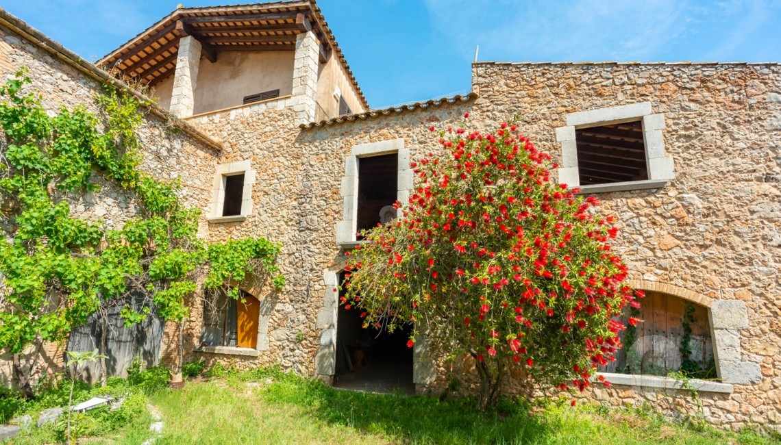 Facade of the house 