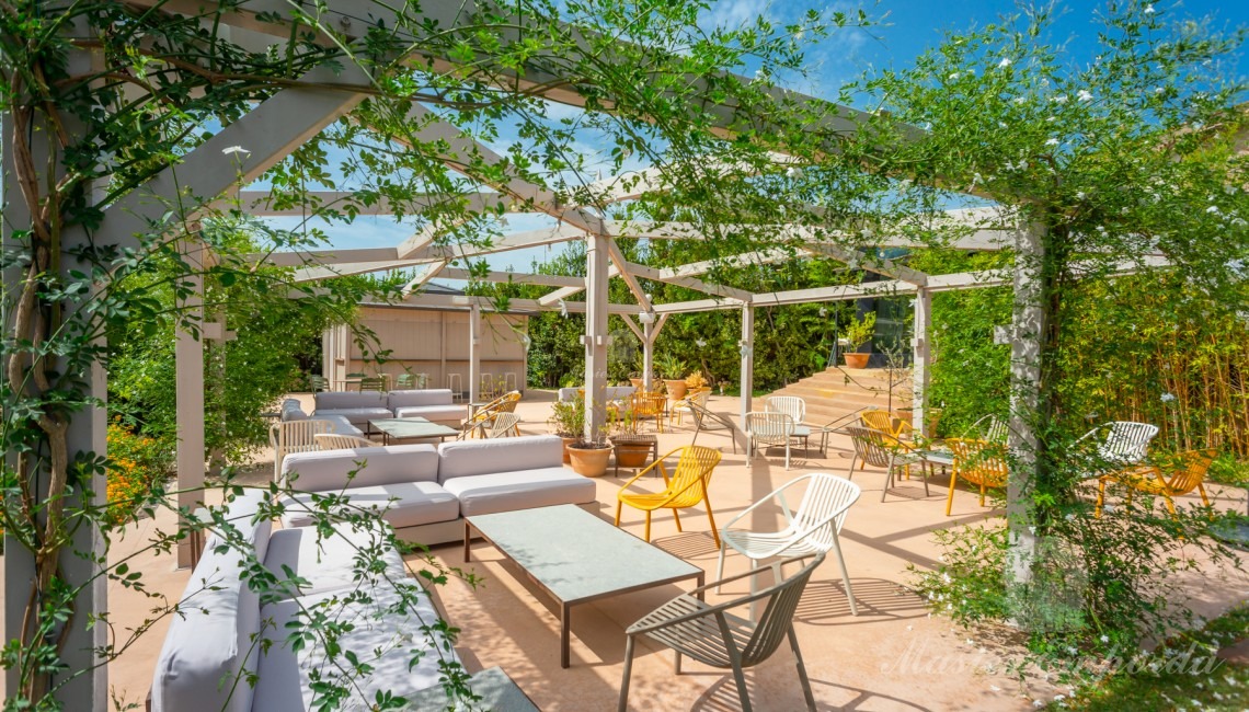 Bar area and solarium 