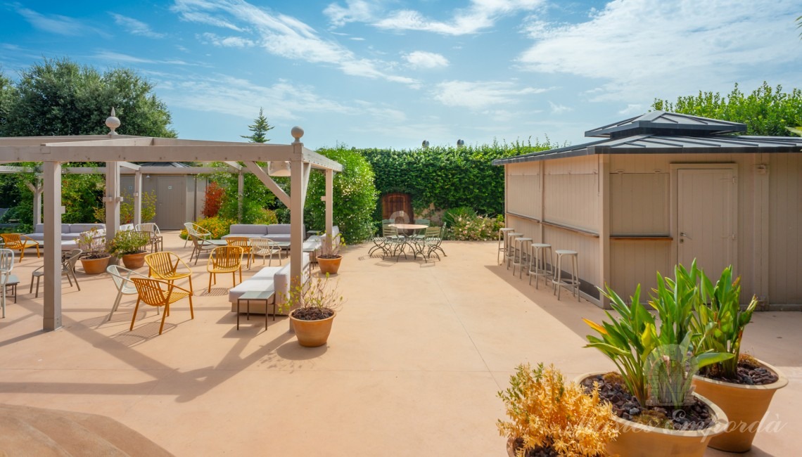 Bar area and solarium 