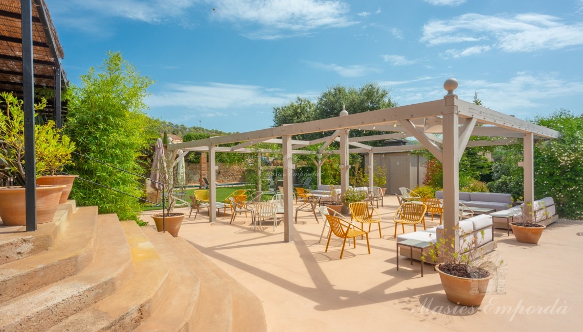 Bar area and solarium 