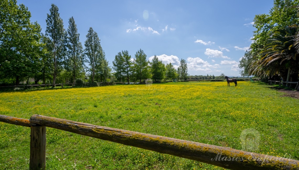 Vistas de los campos de la propiedad