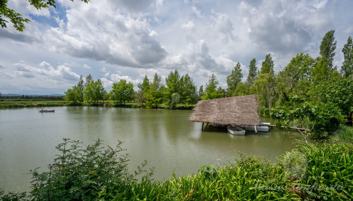 Vistas al lago