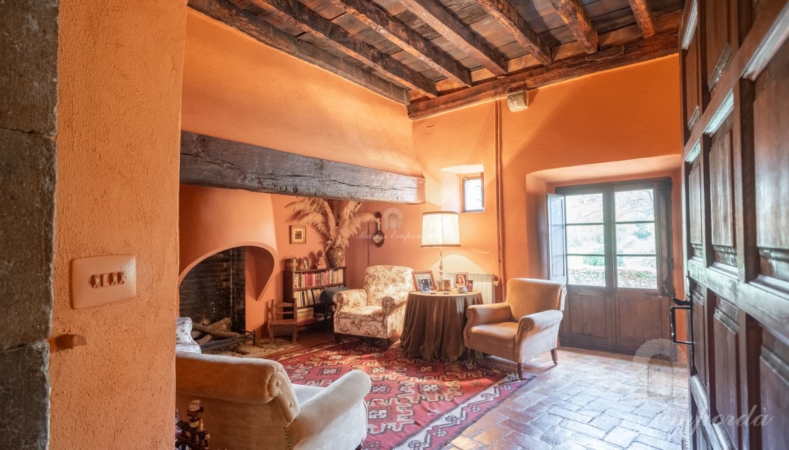 Living room with fireplace