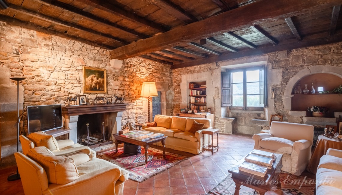 Living room with fireplace