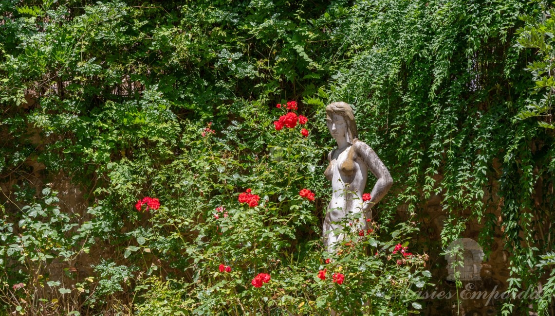 Garden details 