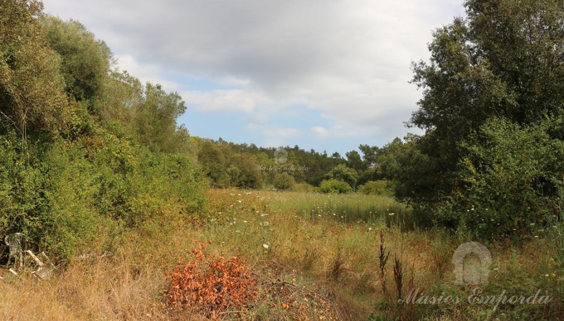 Views of the fields