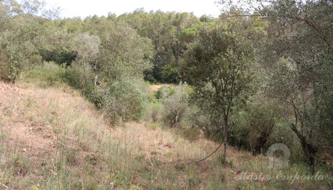 Views of the fields