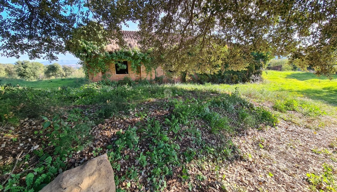 Views of one side of the farmhouse