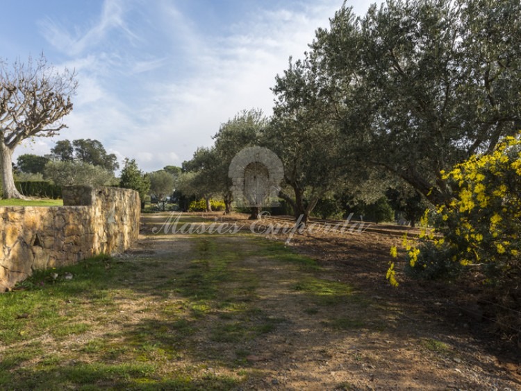 Vistas de parte del jardín y huertas de la propiedad  