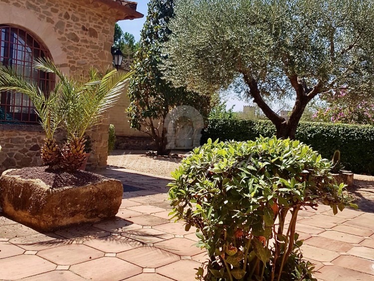 View of the garden and terrace of the house