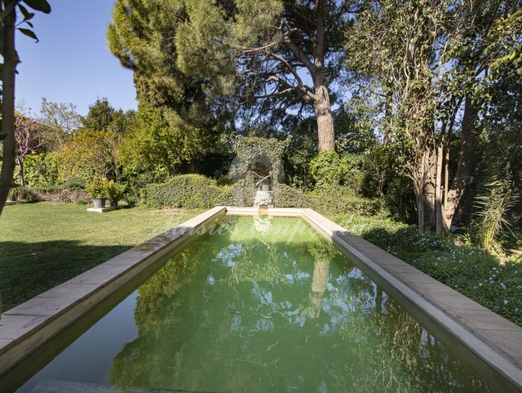 Views of the pool from the house