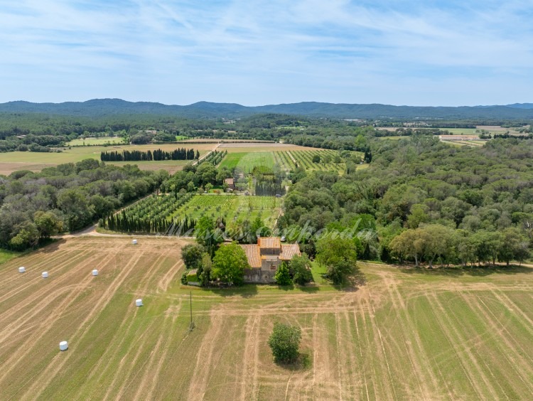 Views of the farmhouse and the plot