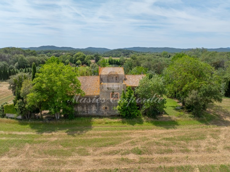 Views of the farmhouse and the plot