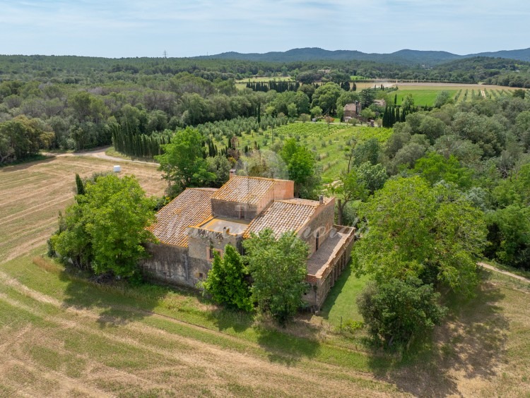 Views of the farmhouse and the plot