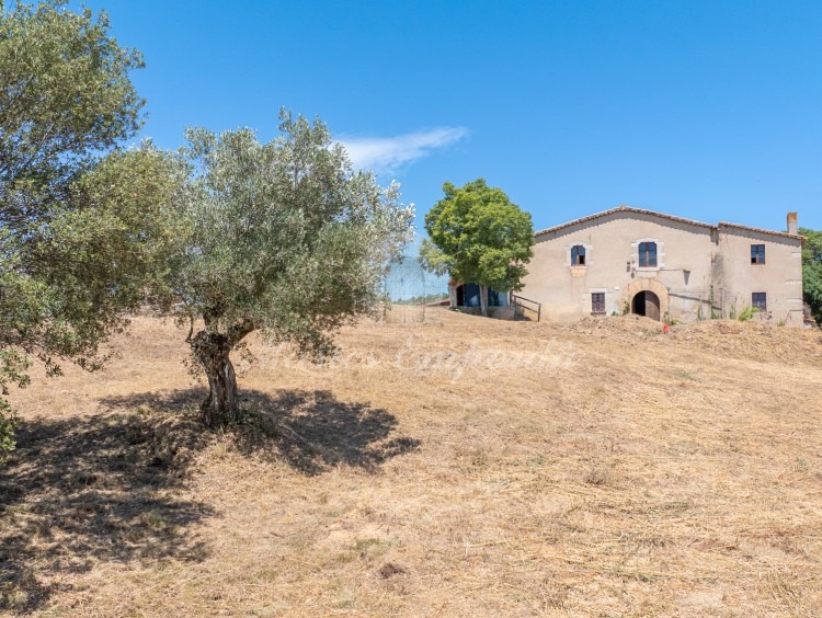 Views of the farmhouse