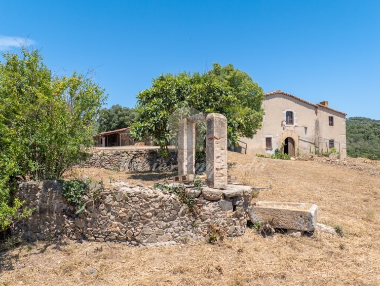 Views of the farmhouse