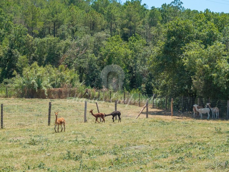 Views of the fields around the farmhouse