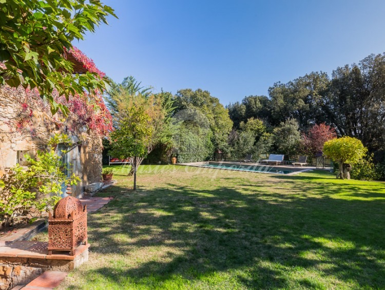 View of the garden and the pool at the bottom of the image